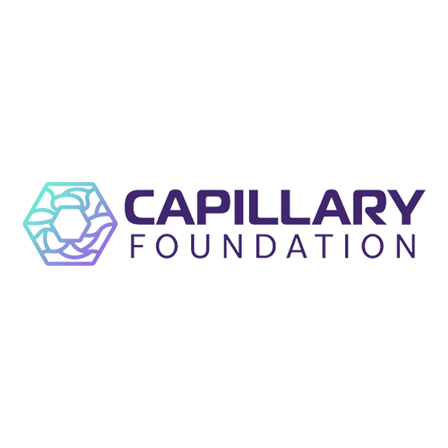 Capillary Foundation