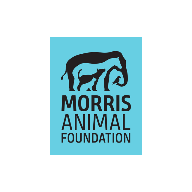 Morris Animal Foundation